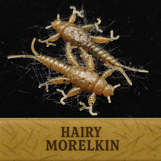 Hairy Morelkin insect fishing lure on a black background with 'Hairy Morelkin' text at the bottom.