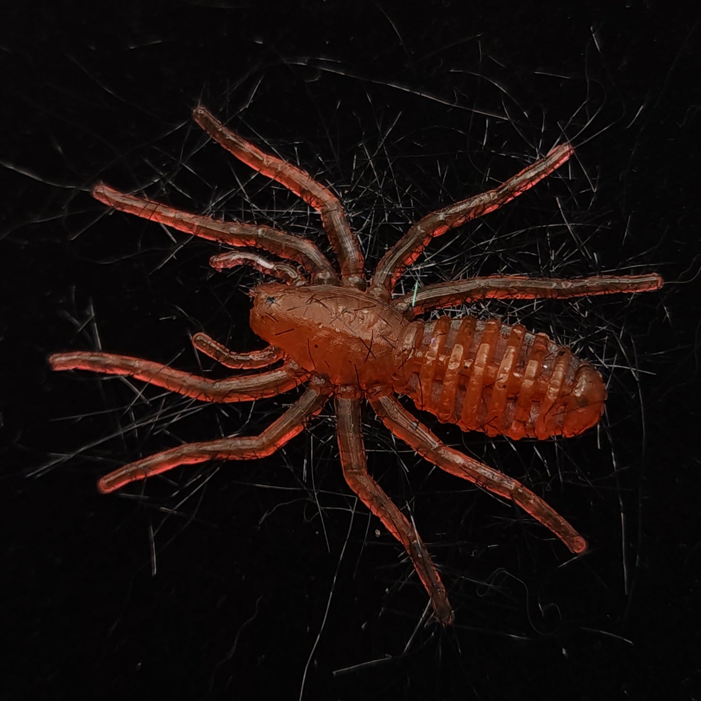 Red Spider Fishing Lure