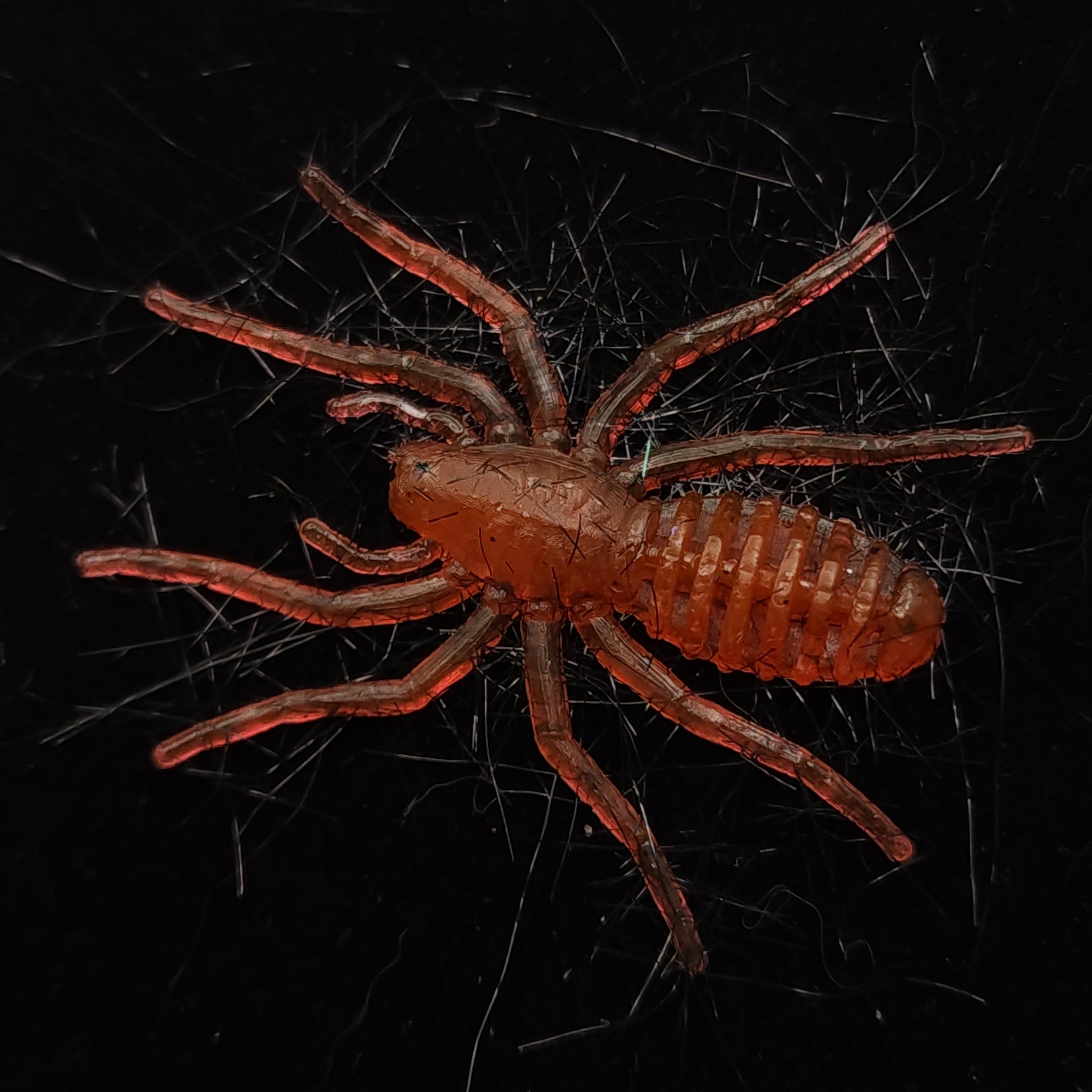 Red Spider Fishing Lure