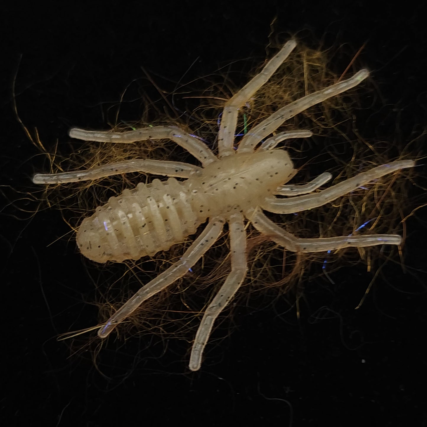 Beige Spider Fishing Lure