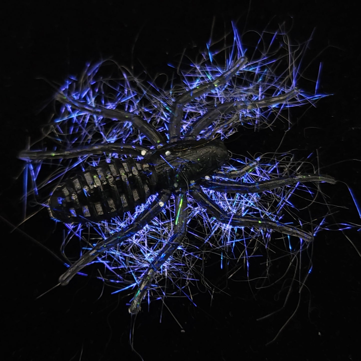 Black Spider Fishing Lure