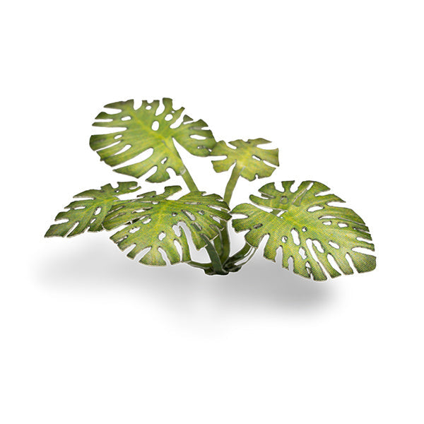 Artificial green monstera leaves on a white background