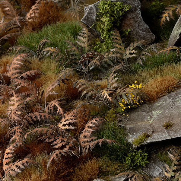 Close-up of a natural landscape with plants, rocks, and moss.