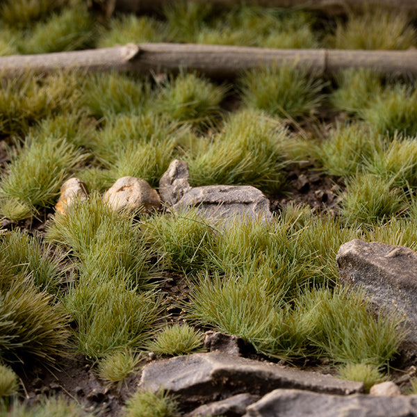 Small animal hiding among grass and rocks