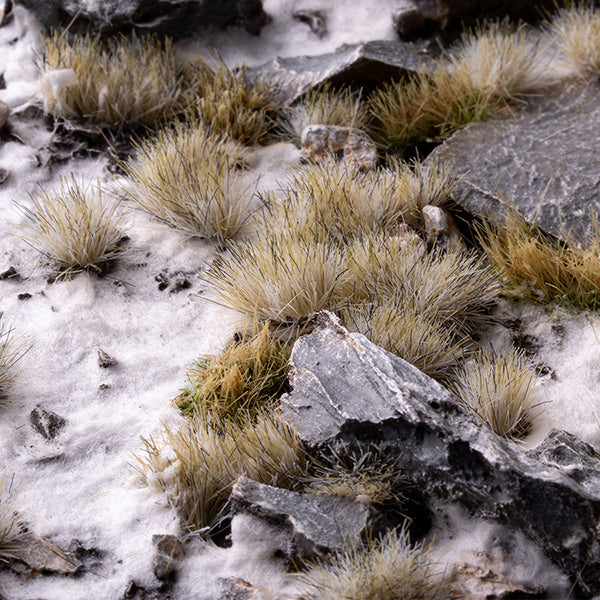 Close-up of snowy ground with small plants and rocks