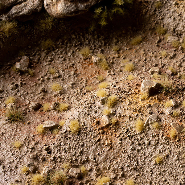 Close-up of a rocky surface with small plants growing on it