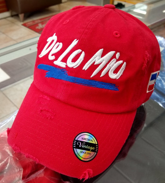 De lo mio embroidered  Logo Vintage Hat (Red / Full Color)