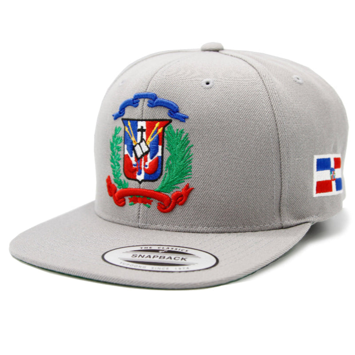 Gray snapback cap with embroidered design on a white background