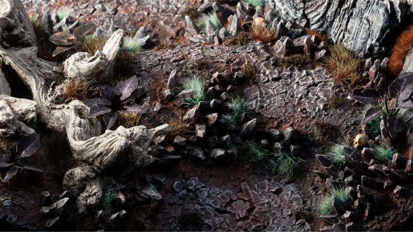 Close-up of a rocky surface with small plants and moss