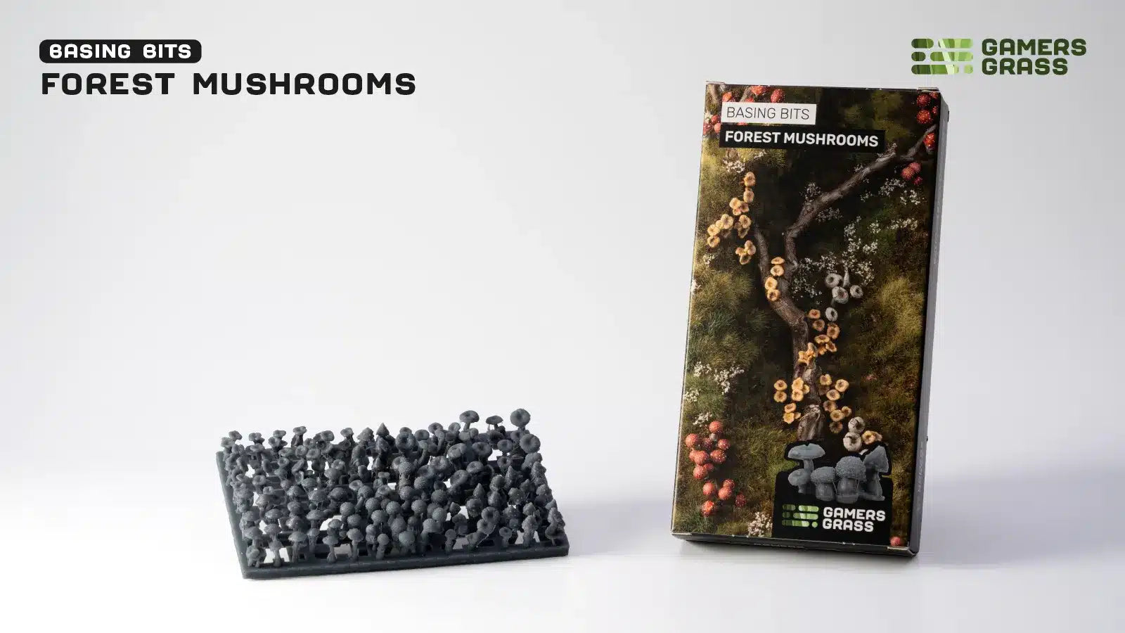 Forest mushrooms gaming base and packaging on a white background
