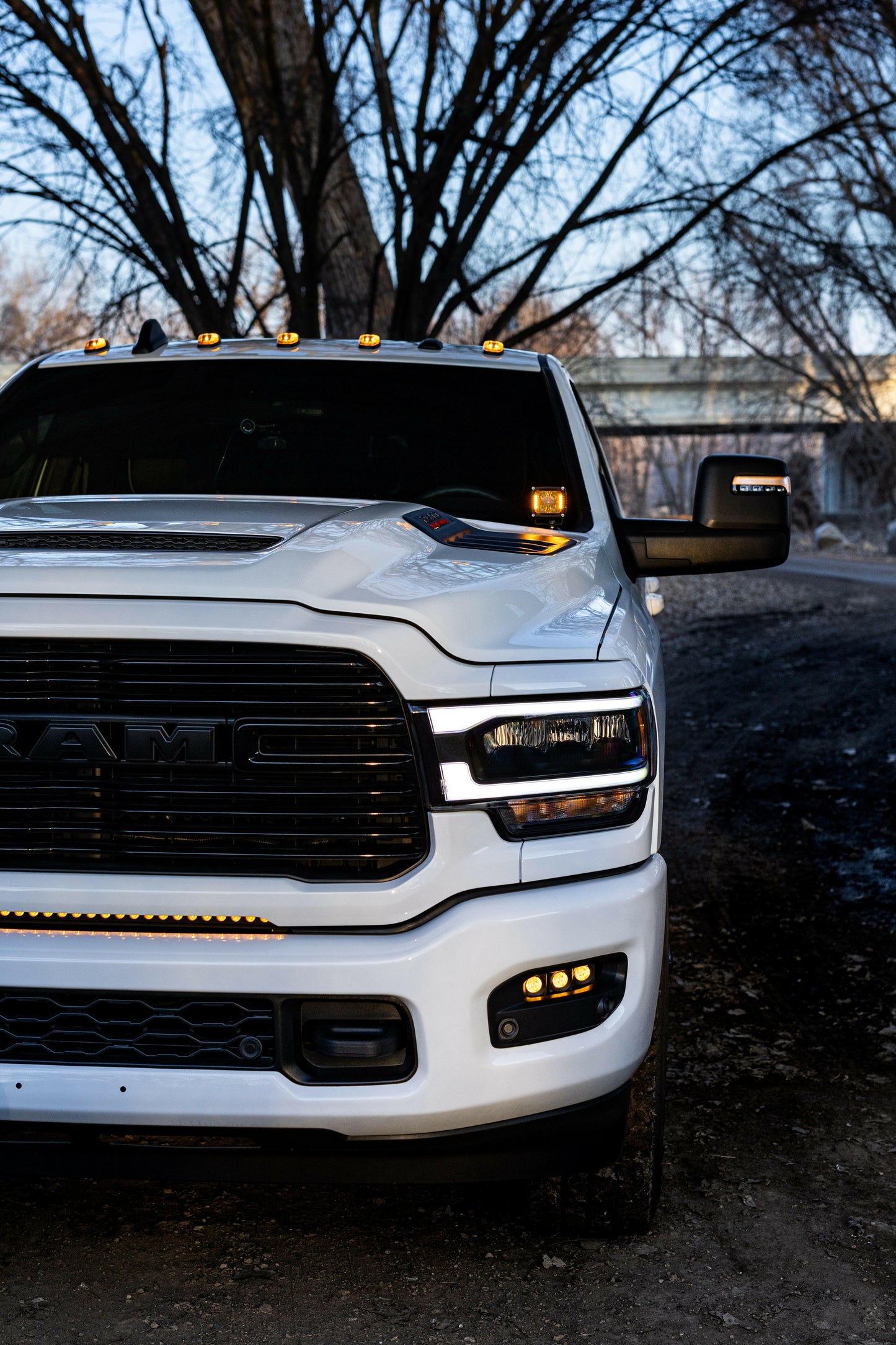 White pickup truck parked on a dirt road with trees in the background