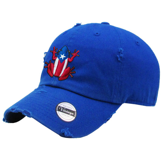 Blue baseball cap with a coqui frog design wearing an American flag shirt on a white background