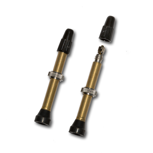 Two bicycle valve stems with black and brass components on a white background
