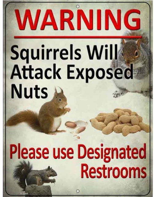 Squirrels Will Attack Novelty Parking Sign