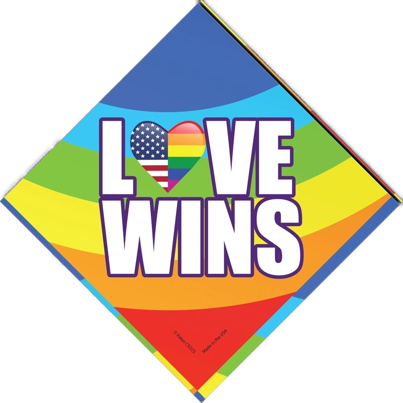 Pride Love Wins Car Rainbow Suction Cup Window Sign