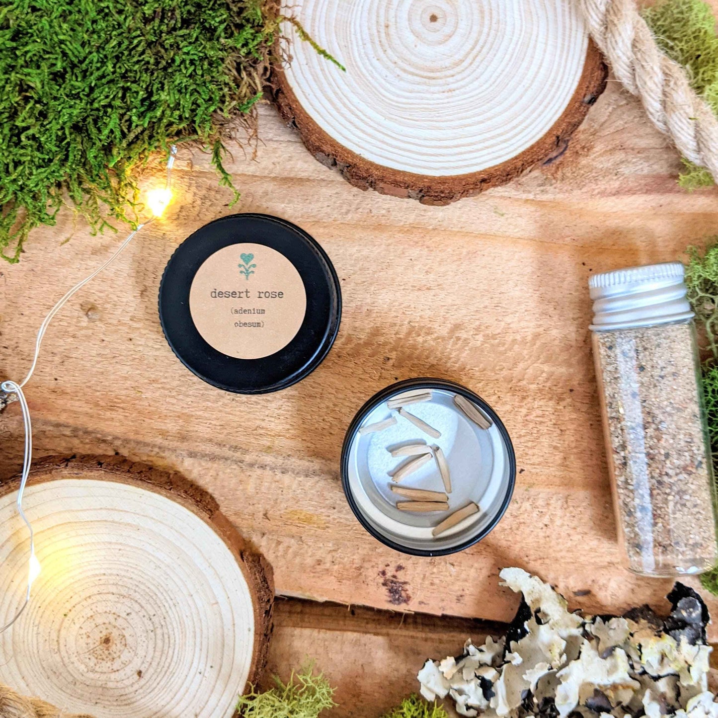 Adenium Obesum 'Desert Rose' Seeds