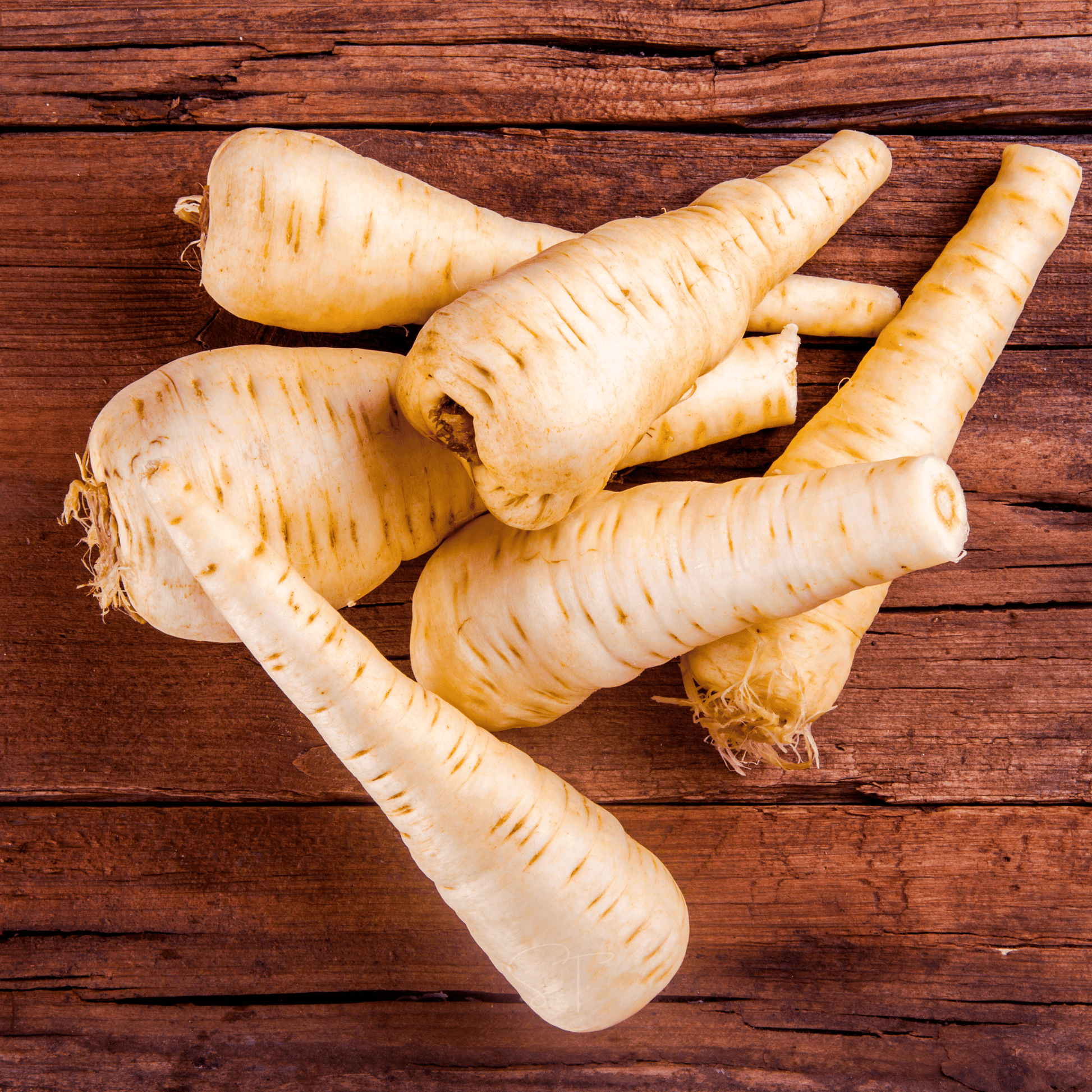  Parsnips on a wooden surface