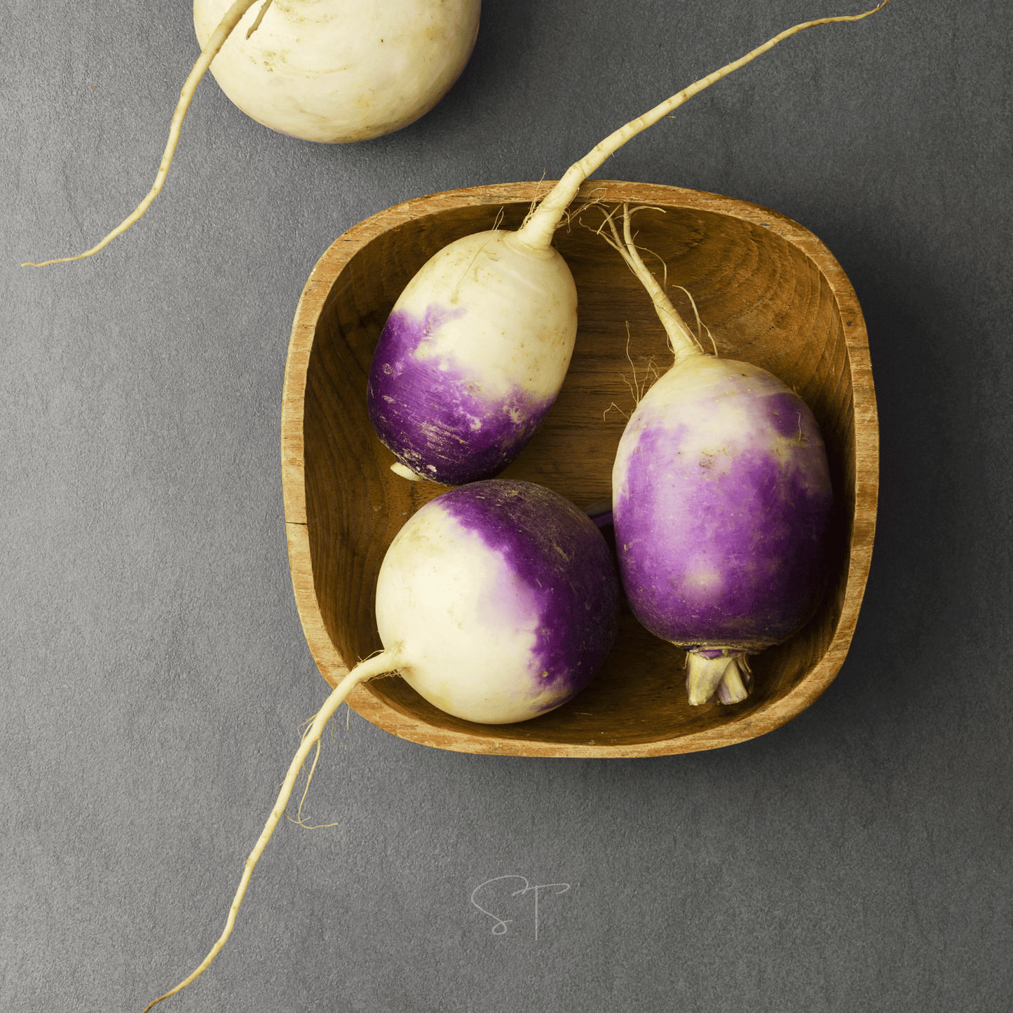 Three purple and white American Purple Top Rutabaga in a wooden bowl on a gray background