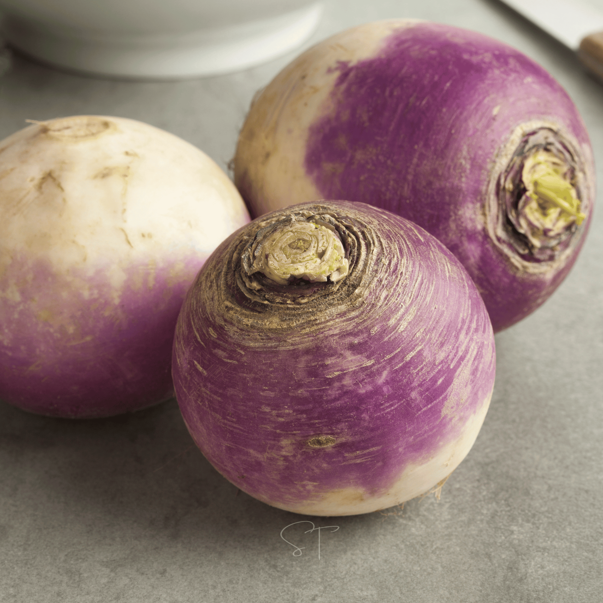 Three American Purple Top Rutabaga with purple and white skin on a gray surface