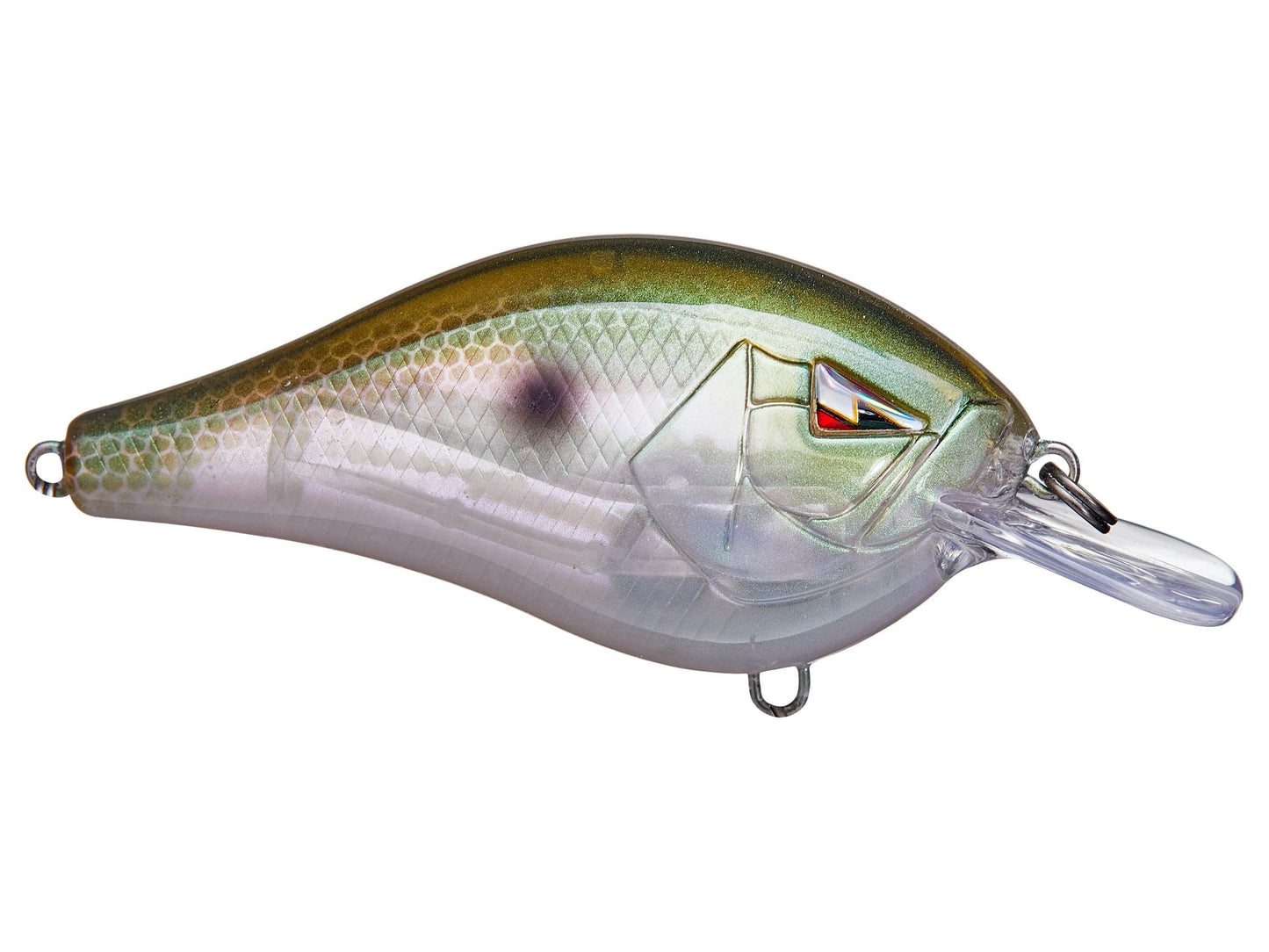 Fishing lure with a detailed design on a white background