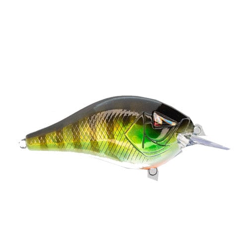Fishing lure with a realistic fish design on a white background