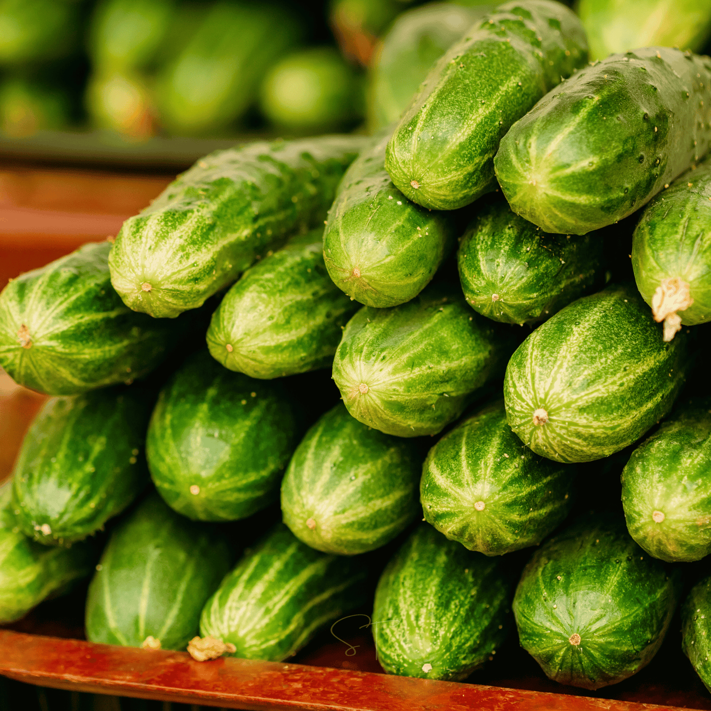 Close-up of green cucumbers stacked on a wooden surface