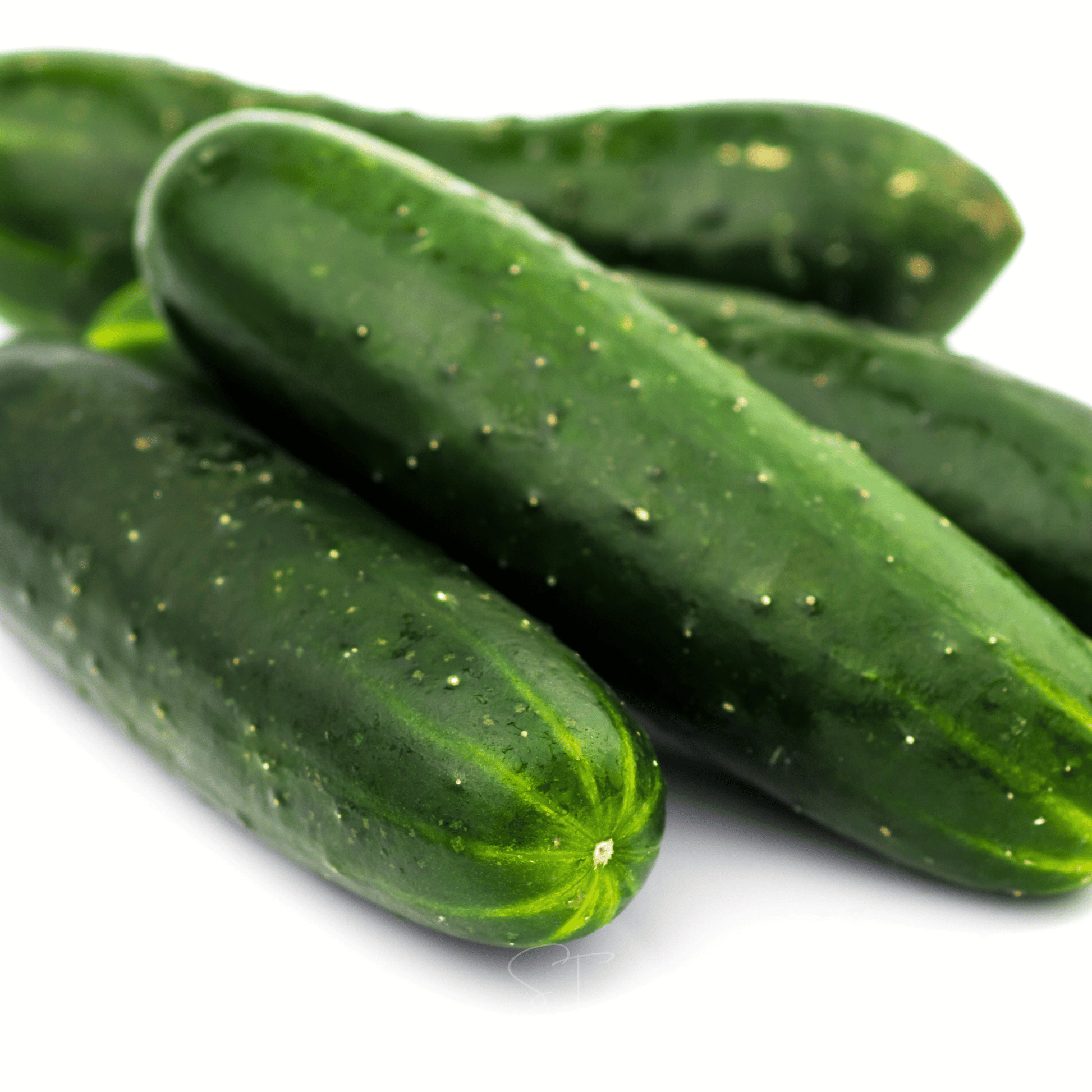 Green cucumbers on a white background