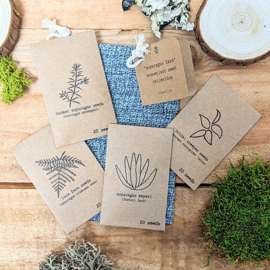 "Asparagus Fern" Houseplant Seed Collection