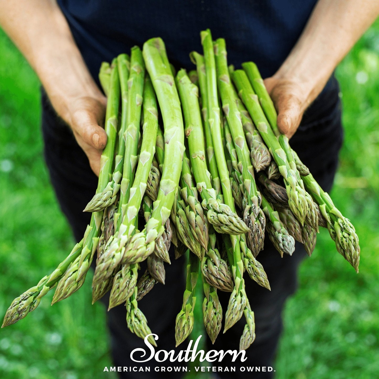 Person holding a bundle of green asparagus with 'Southern' branding in the background.