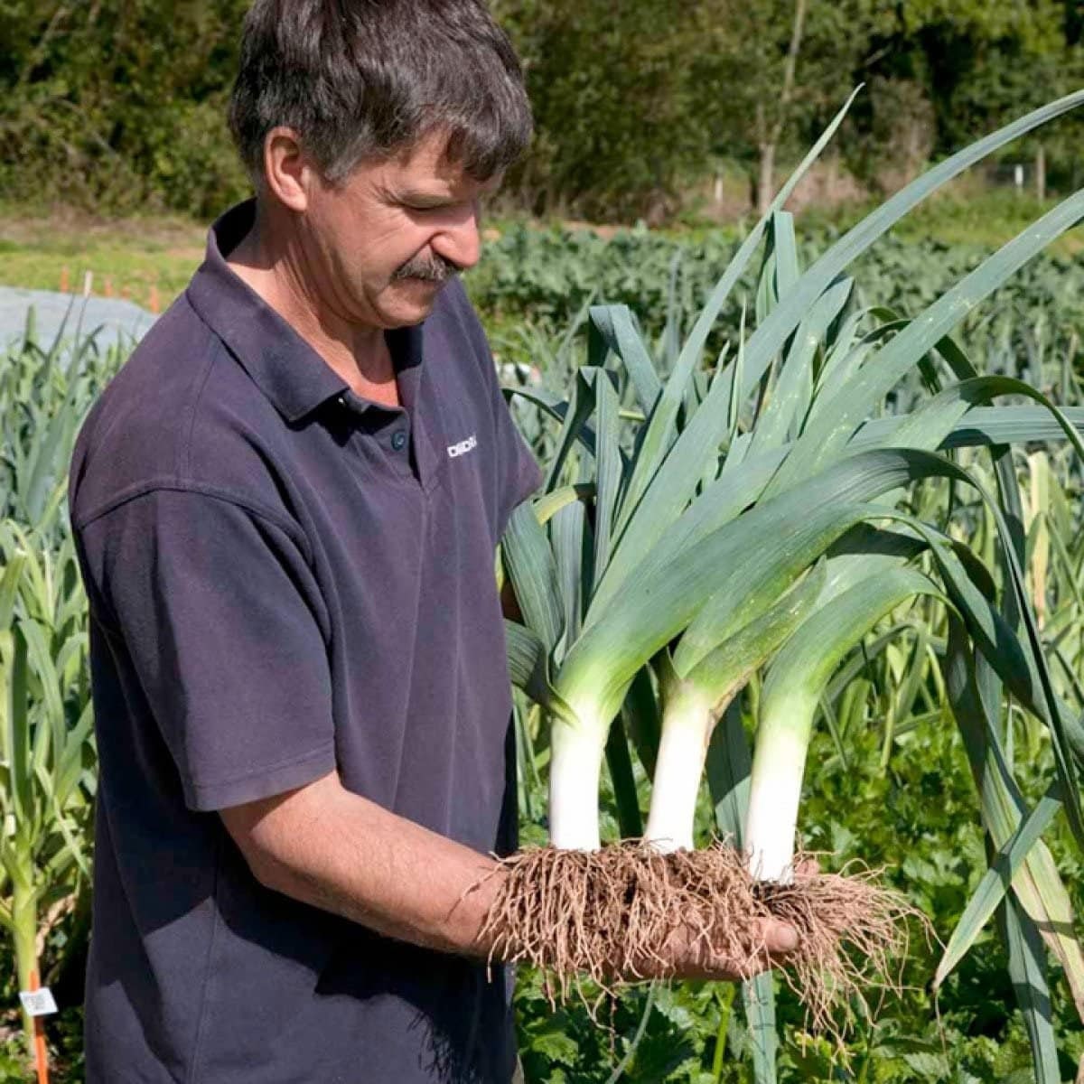 Man holding a bundle of leeks in a garden setting
