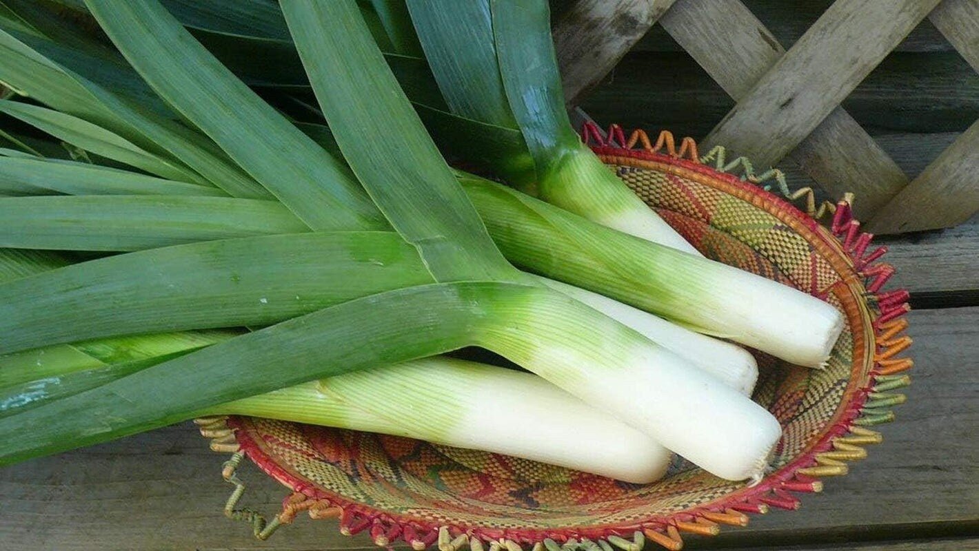 Bunch of green onions on a decorative woven mat