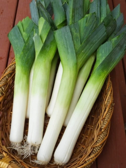 Leeks in a woven basket on a wooden surface