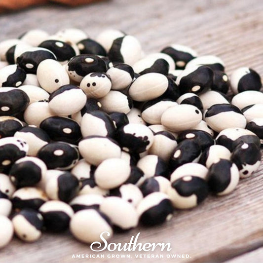 Black and white beans on a wooden surface with 'Southern' branding.