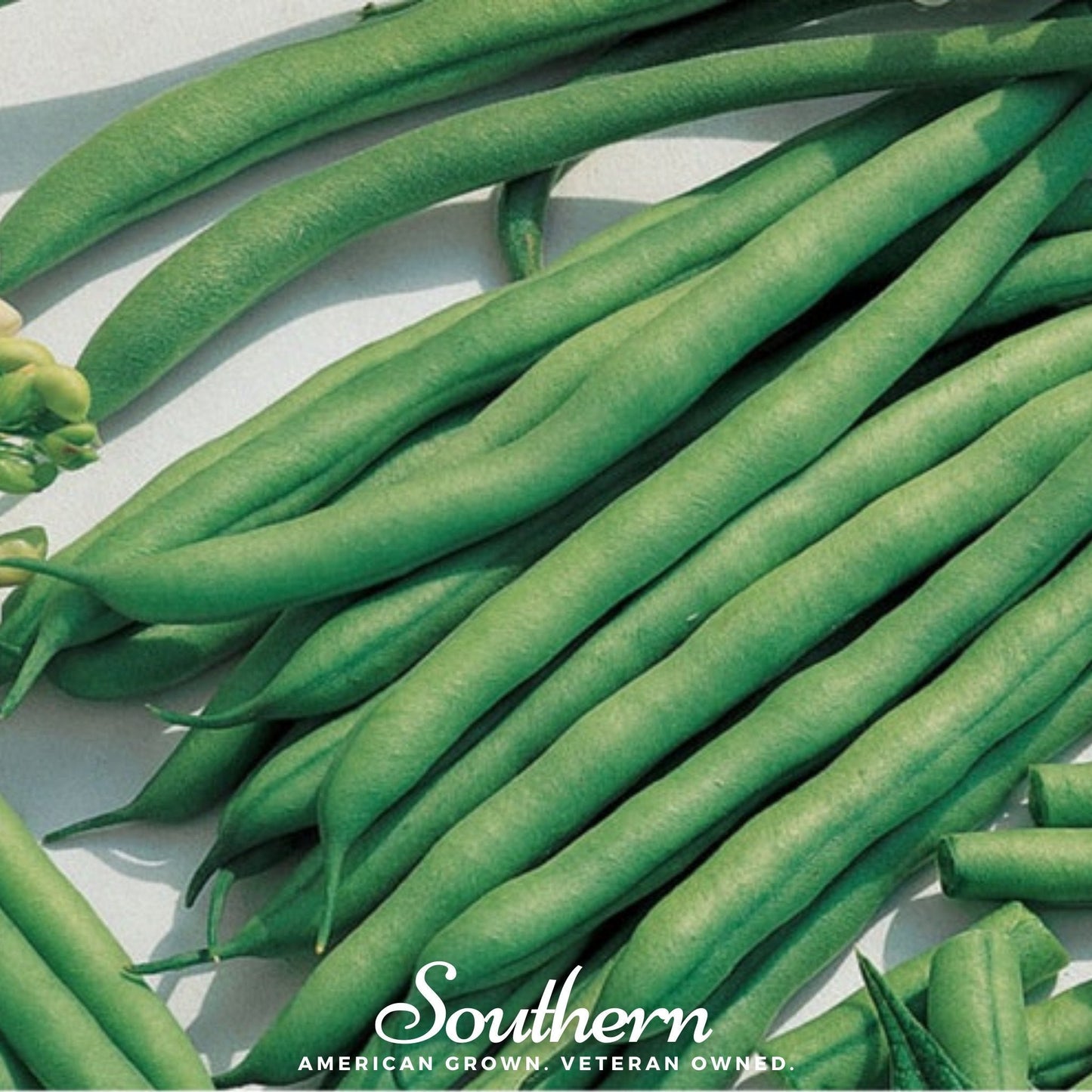 Green beans on a white background with 'Southern' branding.