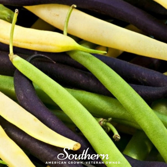 Close-up of green, yellow, and purple beans with 'Southern' brand logo.