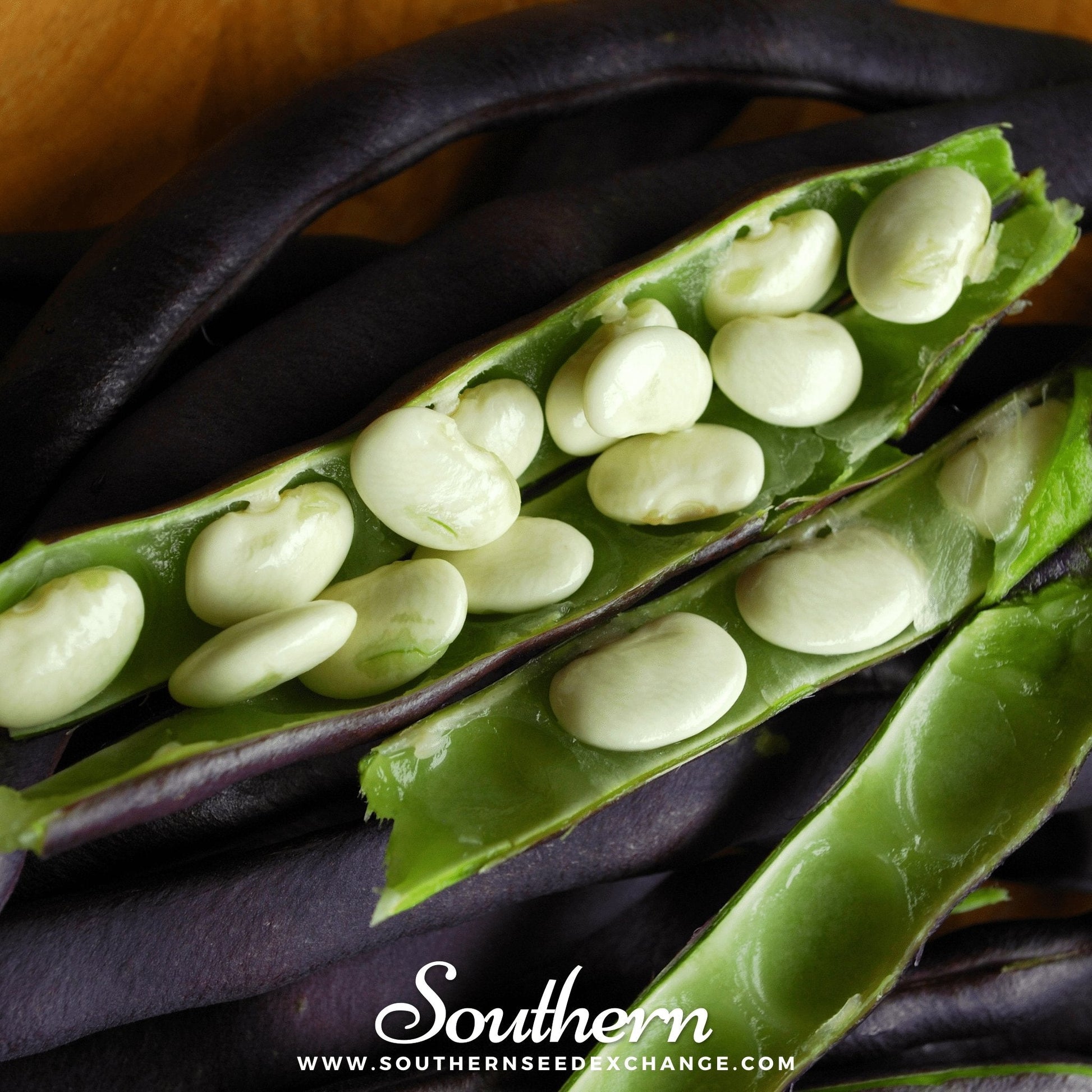 Close-up of a green bean pod with white beans, branded 'Southern Seed Exchange'.