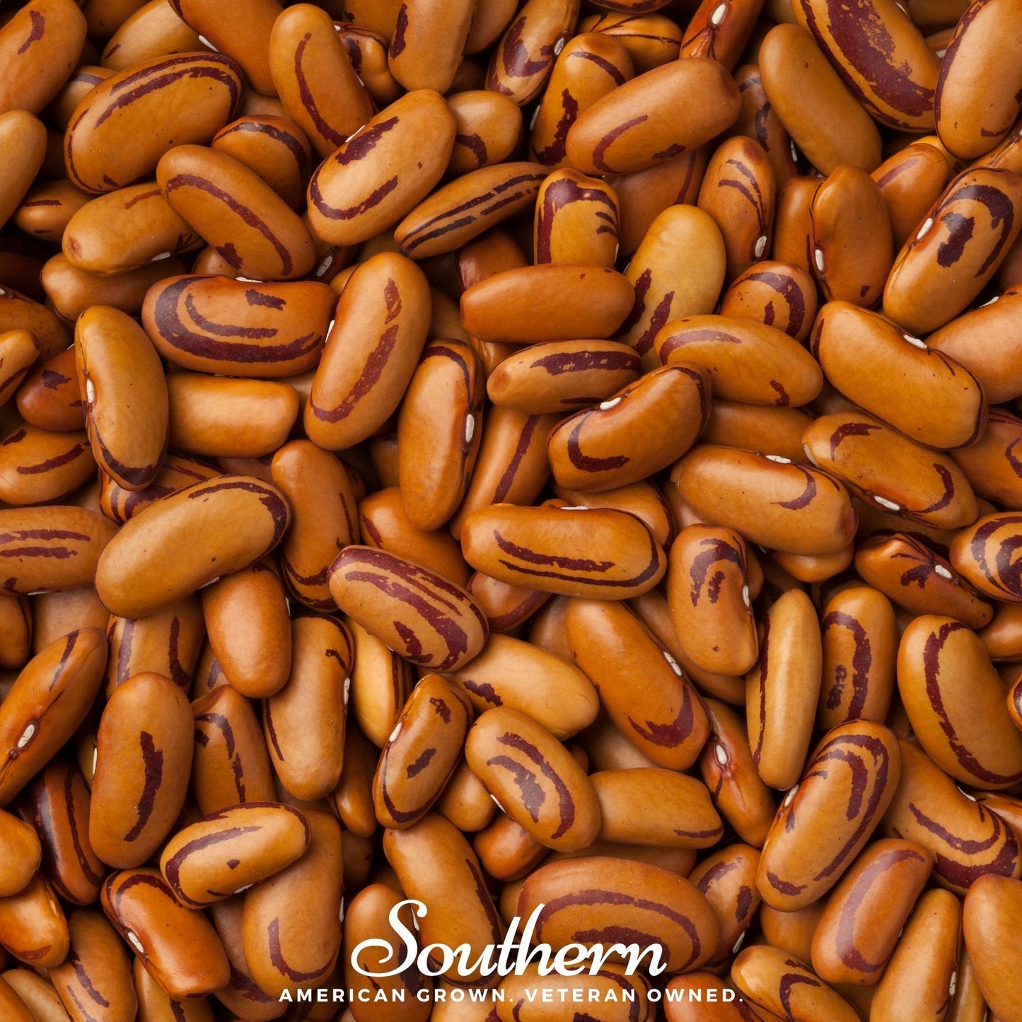 Tiger's Eye Bean (Bush) – 30 Seeds