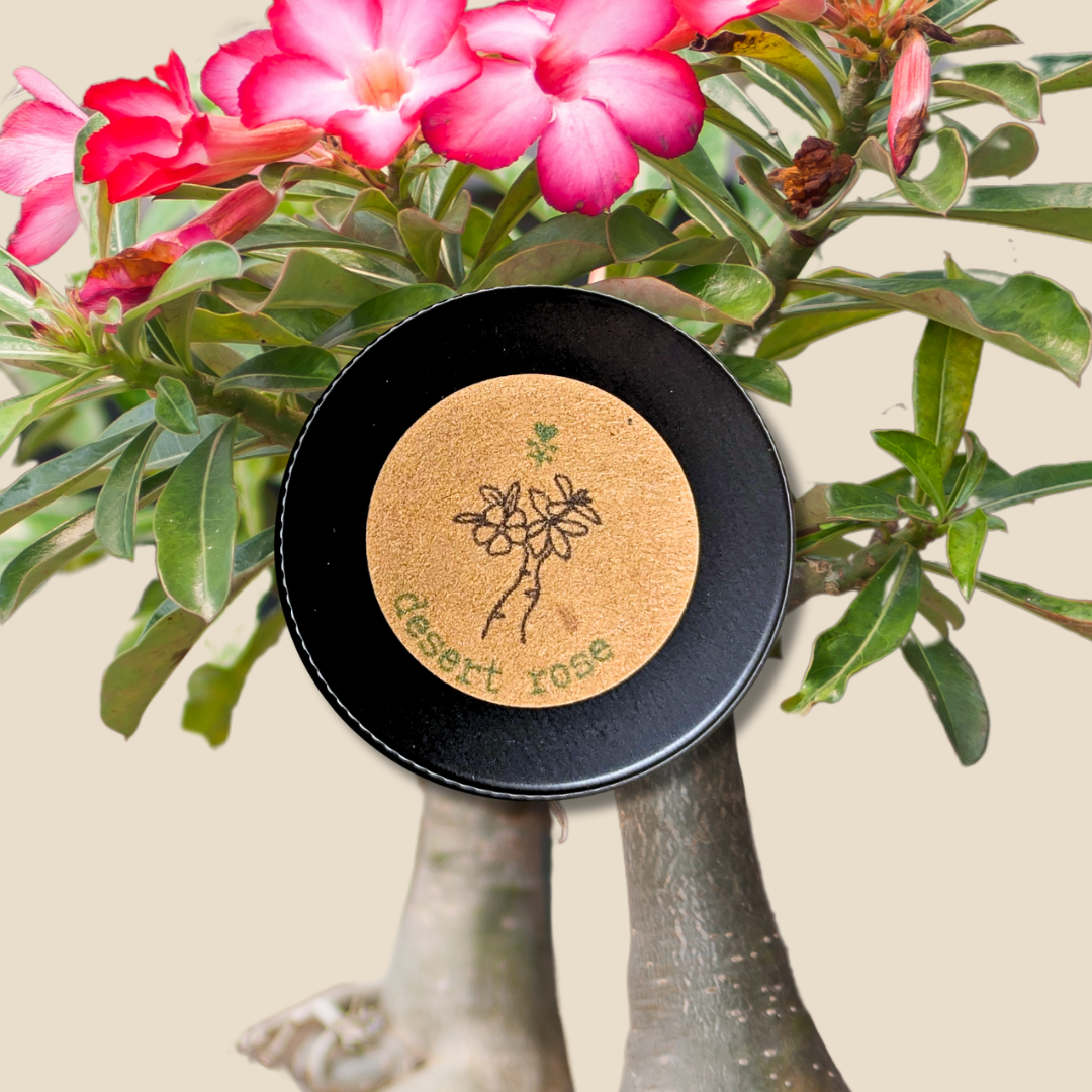 Adenium Obesum 'Desert Rose' Seeds