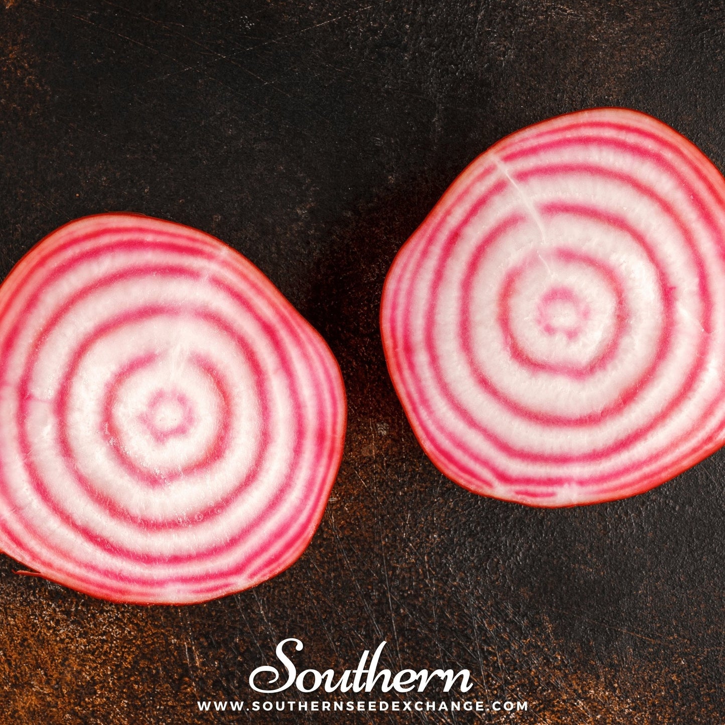 Chioggia Beet – 100 Seeds