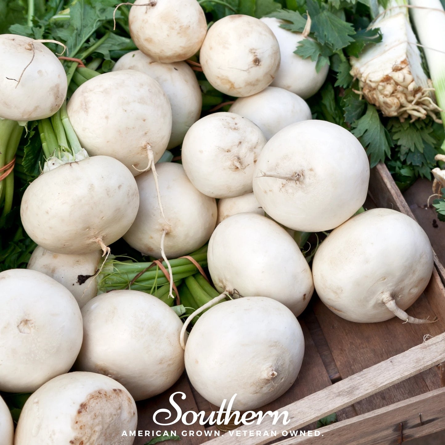 White beets in a wooden crate with green leaves, featuring 'Southern' brand text.