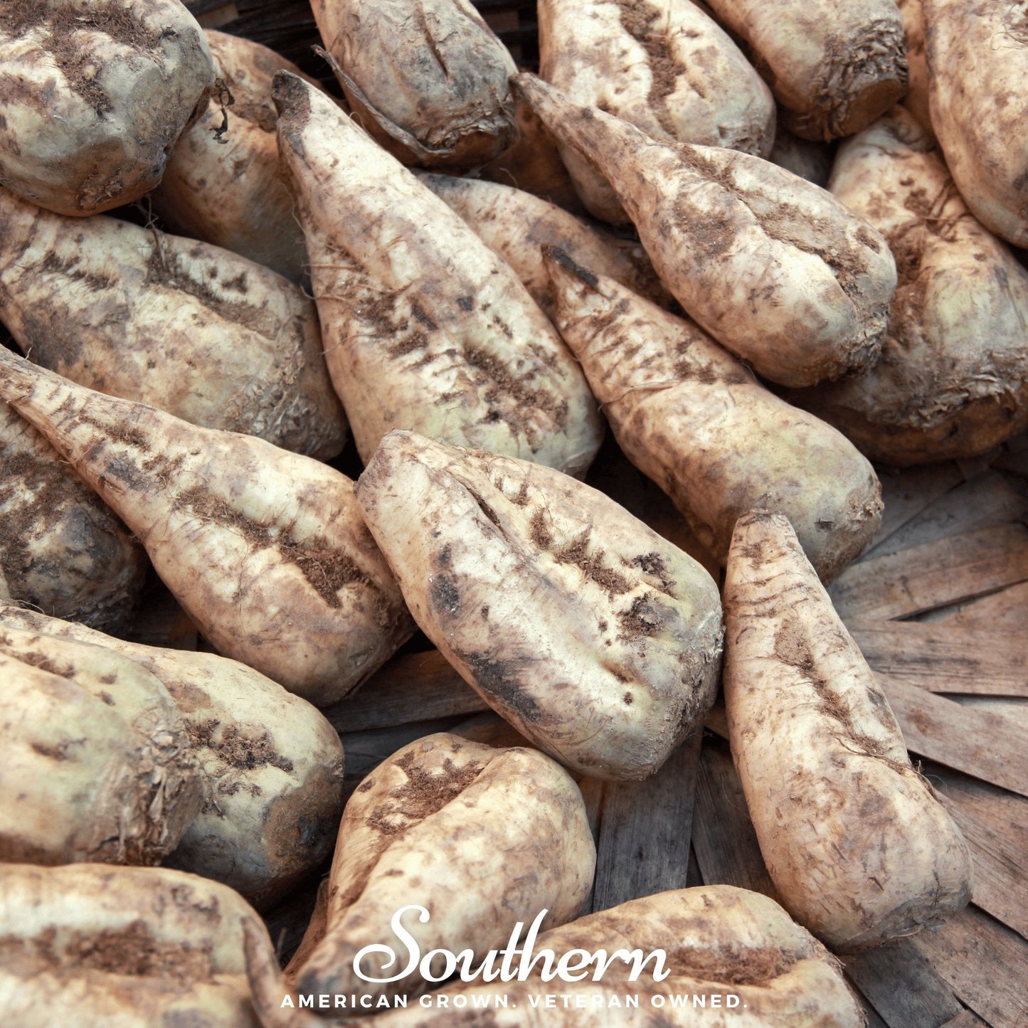 Close-up of raw sugar beets with 'Southern' brand logo.