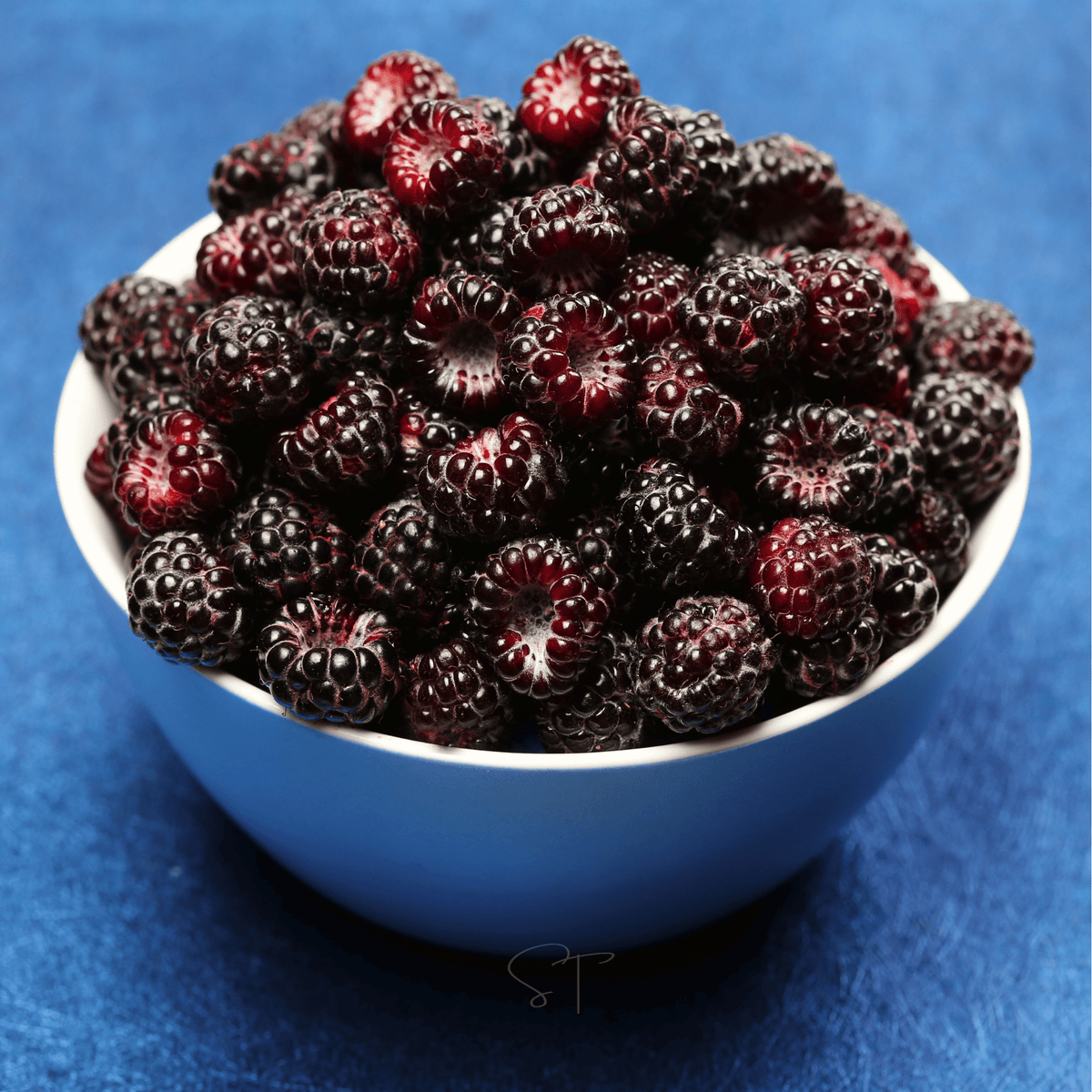 Blacl Raspberry Black Raspberry – 30 Seeds – Inundatio.com