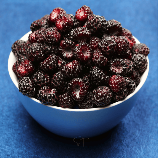 Black Raspberry – 30 Seeds