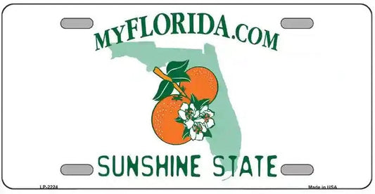 Blank Florida License Plate