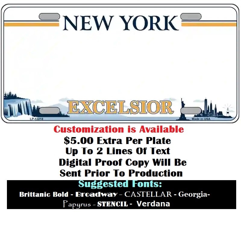 Customization Instructions Blank New York License Plate 
