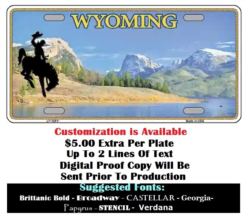 Customizing Of Blank Wyoming License Plate Instructions