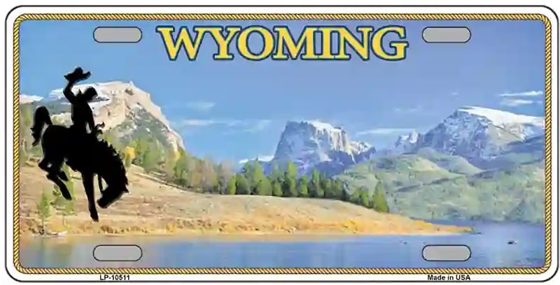 Blank Wyoming License Plate