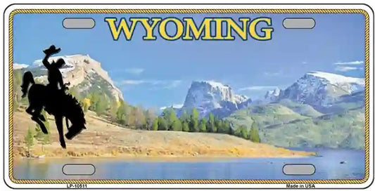 Blank Wyoming License Plate