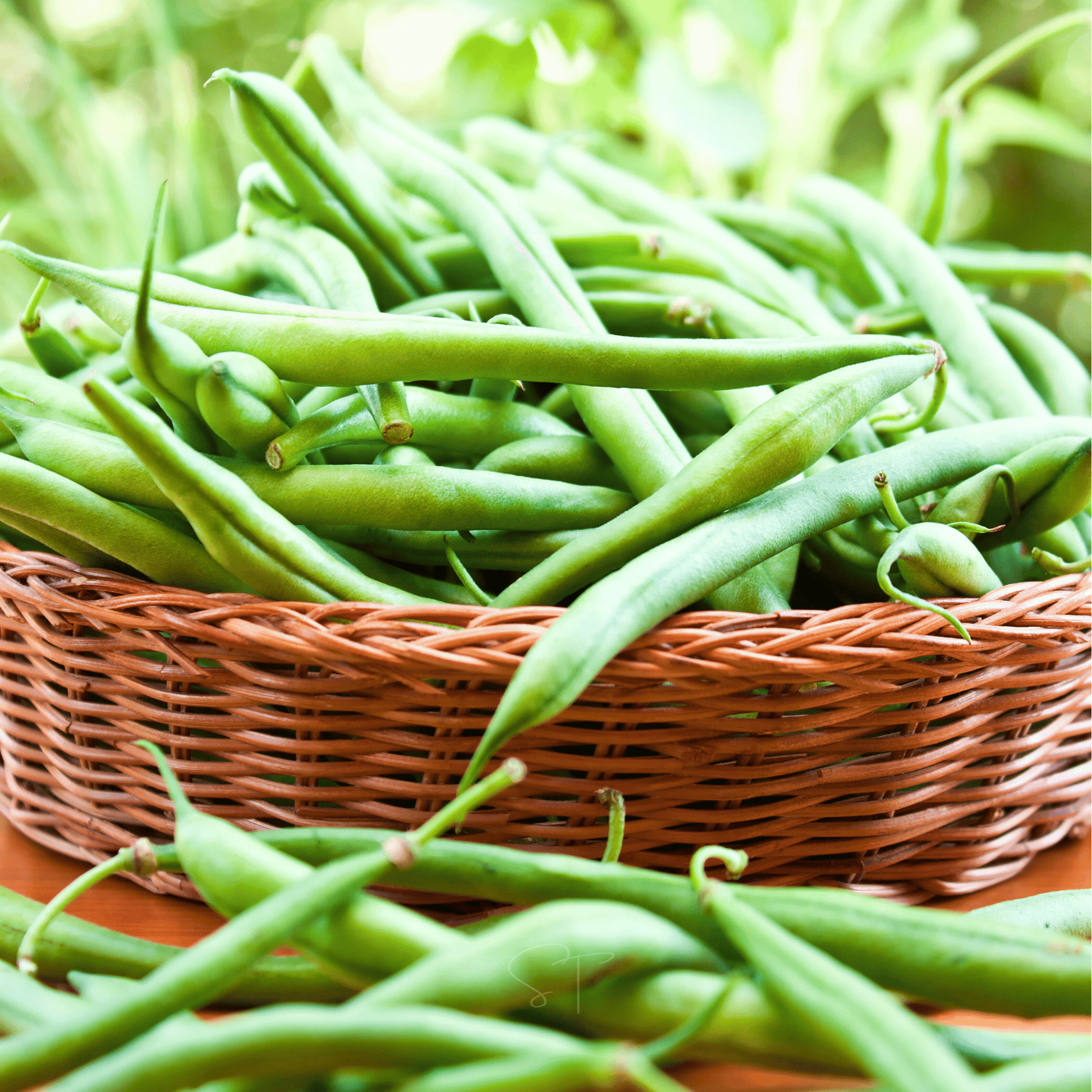 Basket of green beans on a wooden surface
