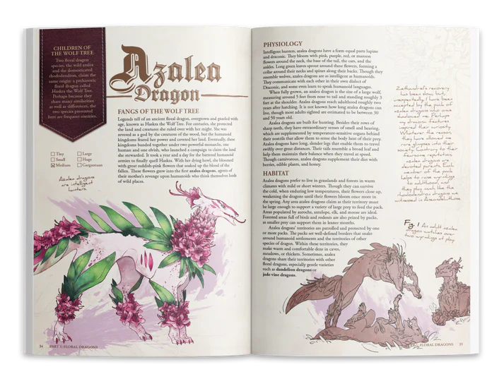 Open book with illustrations of a dragon and floral elements on a white background